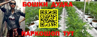 apvp Бийск