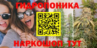 apvp Бийск