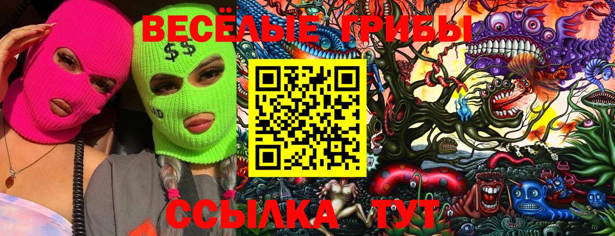 Псилоцибиновые грибы мухоморы Ковров